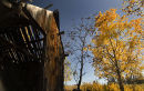 Old barn, autumn in Cariboo country, BC